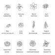 Graphic of Birth Flowers for Jewellery Cases