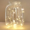 Lisa Angel 30 Battery Powered LED Silver Wire String Lights