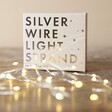 Unisex 30 Battery Powered LED Silver Wire String Lights