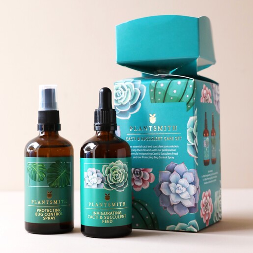 Plantsmith Cacti & Succulent Care Gift Cracker on Neutral Background