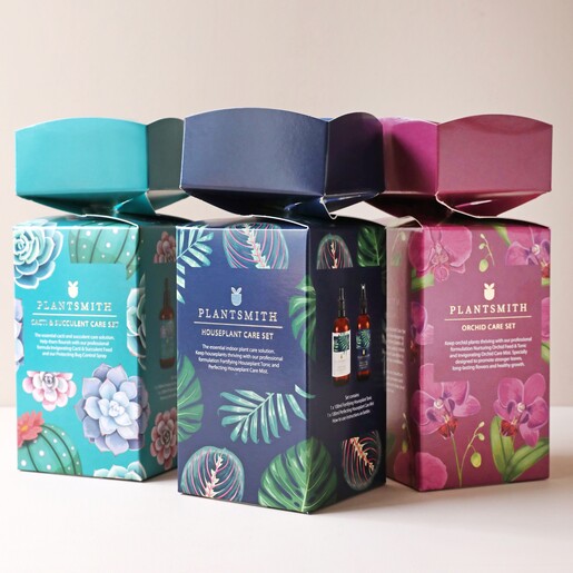 Plantsmith Cacti & Succulent Care Gift Cracker With Two Other Varieties