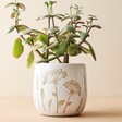 Sass & Belle Small Cow Parsley Planter Holding Plant