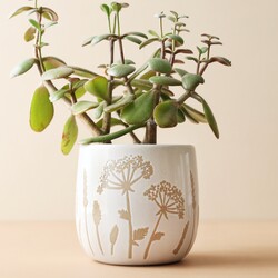 Sass & Belle Small Cow Parsley Planter, H10cm