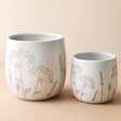 Small and Large Size of Sass & Belle Small Cow Parsley Planter
