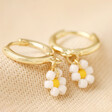 Close Up of Beaded Daisy Charm Huggie Hoop Earrings in Gold