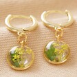 March Pressed Birth Flower Huggie Hoop Earrings in Gold on Natural Coloured Fabric