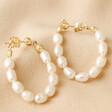 Freshwater Pearl Loop Earrings in Gold on Beige Fabric