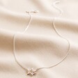 Mixed Metal Crystal Double Star Pendant Necklace in Silver Full Length