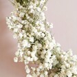 Close Up Detailing of Natural Gypsophila Dried Flower Wreath