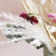 Pampas Grass in Rustic Dried Flower Bouquet