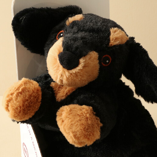 Close-Up of Warmies Dachshund