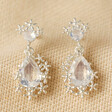 Small Silver Flower and Crystal Drop Earrings on Beige Fabric