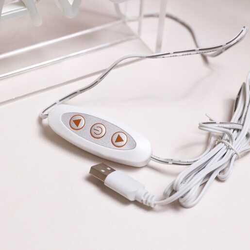 USB wire and dimmer controls for the Mancave Neon LED Wall Light