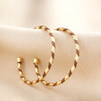 Brown Enamel Twisted Hoop Earrings in Gold on Beige Fabric