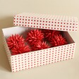 Afroart Set of 6 Red Kotte Hanging Decorations packaged up in box