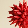 Close up of details on Afroart Set of 6 Red Kotte Hanging Decorations against neutral background