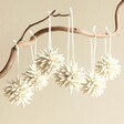 Afroart Set of 6 White Kotte Hanging Decorations suspended from tree branch against neutral background