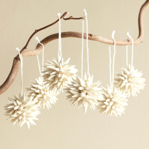 Afroart Set of 6 White Kotte Hanging Decorations suspended from tree branch against neutral background