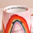 Close Up of Writing on House of Disaster Overwhelmed Rainbow Mug 