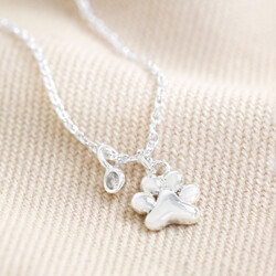 Estella Bartlett Paw Pendant Necklace in Silver