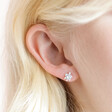 Close Up of Sterling Silver Crystal Turtle Stud Earrings on Model