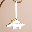 You're Roarsome Dinosaur Hanging Decoration Hanging on Pink Background