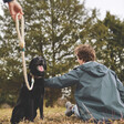 Dog wearing lead and Personalised Field + Wander Natural Rope Dog Collar with owner petting him in forest