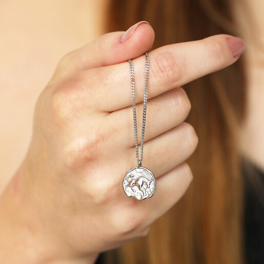 Zodiac pendant necklace deals silver