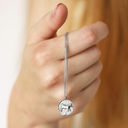 Stainless Steel Aries Pendant Necklace  Model Holding Stainless Steel Aries Pendant Necklace