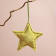Plush Green Star Hanging Decoration hanging from branch in front of plain pink background