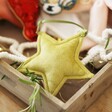 Plush Green Star Hanging Decoration in wooden tray amongst other velvet decorations