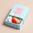 Tiny Matchbox Ceramic Robin Token with robin tucked inside open box on pink surface