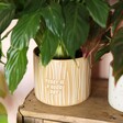 Close up of A Good Day Planter with plant inside on top of wooden counter