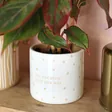 Grow Your Own Way Planter with plant inside on top of wooden counter
