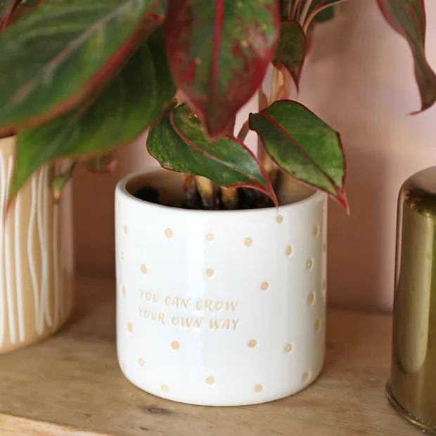 Grow Your Own Way Planter Grow Your Own Way Planter