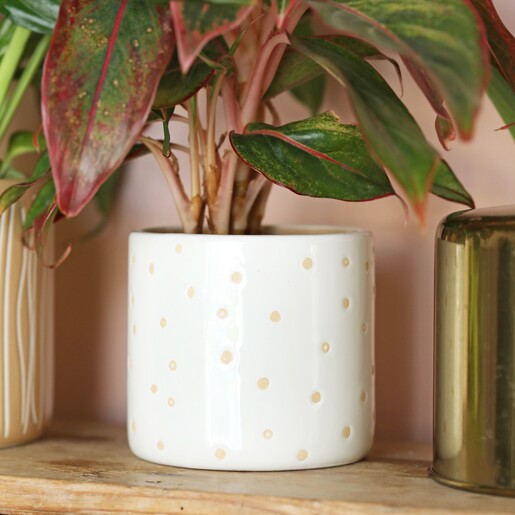 Grow Your Own Way Planter on top of wooden counter with plant pots next to it