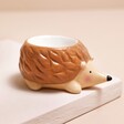 Hedgehog Egg Cup on top of raised surface against neutral backdrop