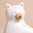 Close Up of Bear's Face on Ceramic Bear Hug Planter