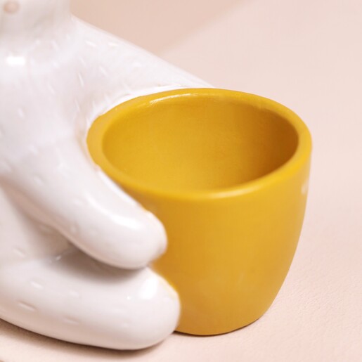 Close Up of Pot on Ceramic Bear Hug Planter