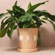 Large Moon Phases Ceramic Planter and Tray Filled with Plant On Beige Backdrop