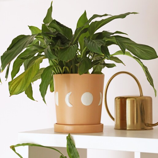 Lifestyle shot of Large Moon Phases Ceramic Planter and Tray