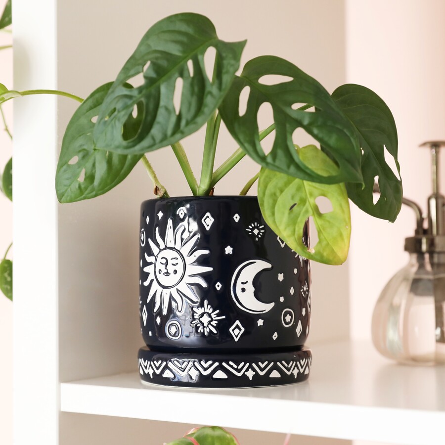 Midnight Blue Sun And Moon Planter And Tray Lisa Angel