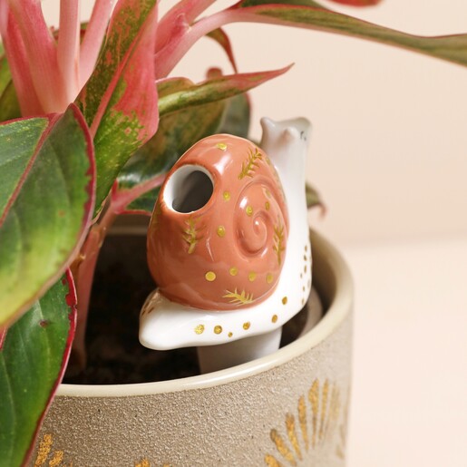 Back of Snail Plant Watering Spike in Plant Pot