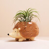 Tiny Hedgehog Planter with plant pot inside in front of beige backdrop