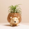 Front of Tiny Hedgehog Planter with plant inside in front of neutral backdrop