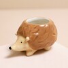Tiny Hedgehog Planter with no plant inside on top of beige backdrop