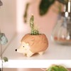 Tiny Hedgehog Planter with plant pot inside in lifestyle setting on white shelf