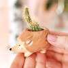 Tiny Hedgehog Planter with plant pot inside in lifestyle setting being held