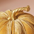 Close Up of Stalk on Large Velvet Pumpkin Ornament