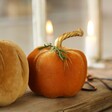 Close Up of Small Velvet Pumpkin Ornament in Lifestyle Shot Next to Large 